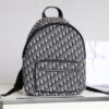 Replica Dior Rider Backpack