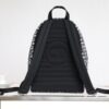 Replica Dior Rider Backpack - top-grade luxury bag dupe