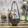 Replica Louis Vuitton Moon Crossbody Brown