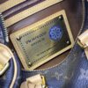 Replica Louis Vuitton Speedy P9 Bandouliere 25 Brown