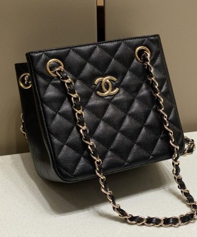 CHANEL 22S Hubo Bag