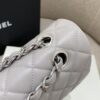 CHANEL Classic Flap 23cm Dove Grey