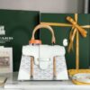 Goyard Sigon Pm White