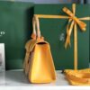 Goyard Sigon Pm Yellow