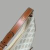 Replica Celine Triomphe Moon Bag White - elite factory replica handbag